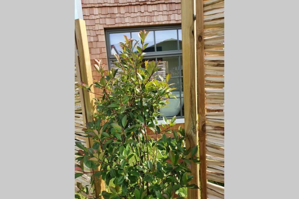 شقة Tiny Loft Im Suedhessischen Ried Trebur المظهر الخارجي الصورة